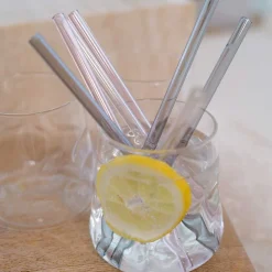 Glastrinkhalme SANO 18 cm 6er-Set + Reinigungsbürste