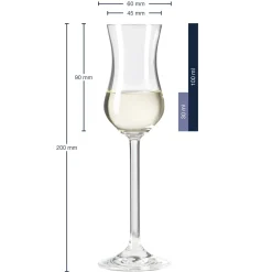 Grappaglas DAILY 100 ml 6er-Set