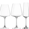 Kelchglasset PALADINO 12-teilig