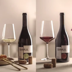 PUCCINI Rotweinglas 750 ml & Weißweinglas 560 ml 12er-Set