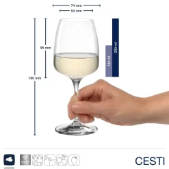 Rieslingglas CESTI 280 ml 6er-Set + Poliertuch