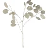 Silber-Dollar-Pflanze POESIA 86 cm weiß