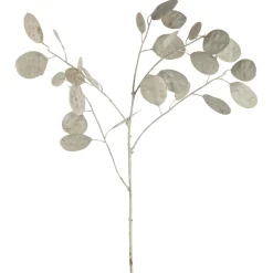 Silber-Dollar-Pflanze POESIA 86 cm weiß