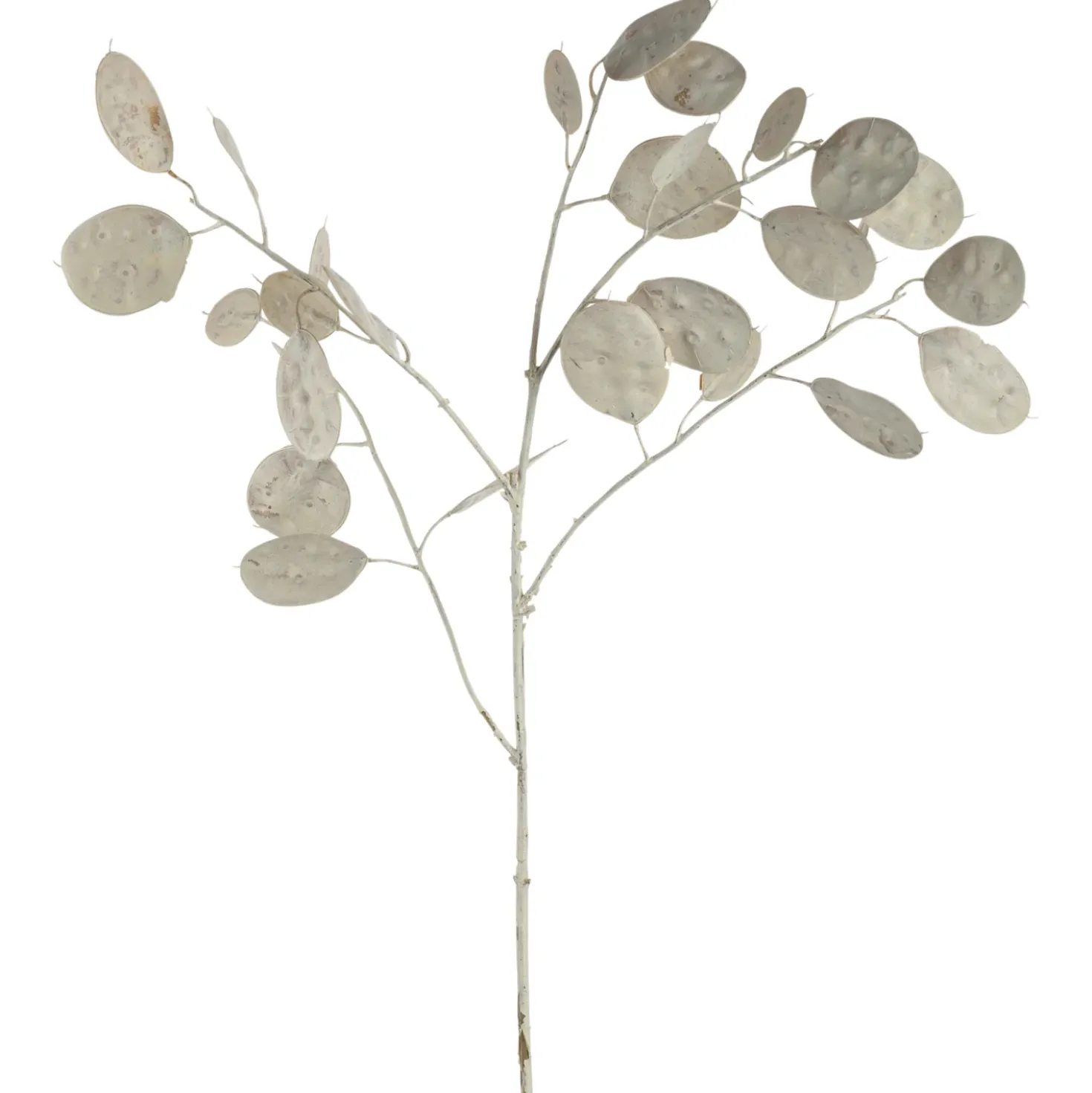 Silber-Dollar-Pflanze POESIA 86 cm weiß