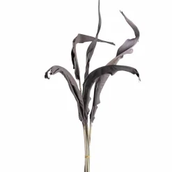 Strelizienblätter FIORE 80 cm taupe 5er-Set