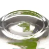 Tasse BAMBINI 280 ml Krokodil