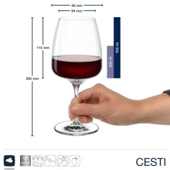 Weinset CESTI 3-teilig + Poliertuch